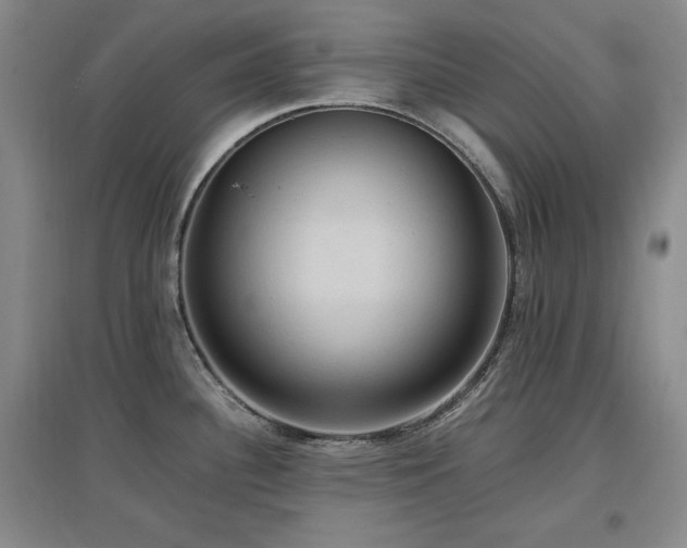 X0000097461340200802221203