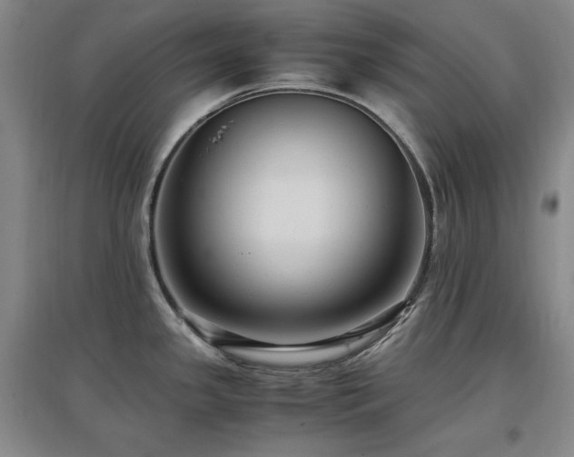 X0000097461341200802221203
