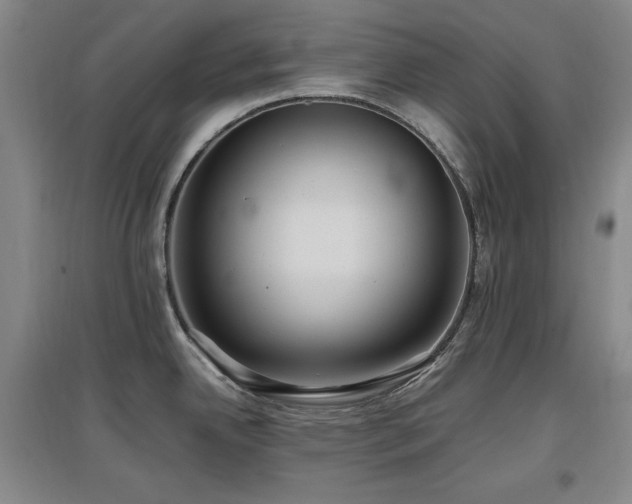 X0000097461342200802221203
