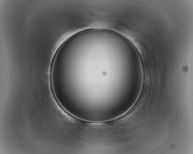 X0000097461343200802221203