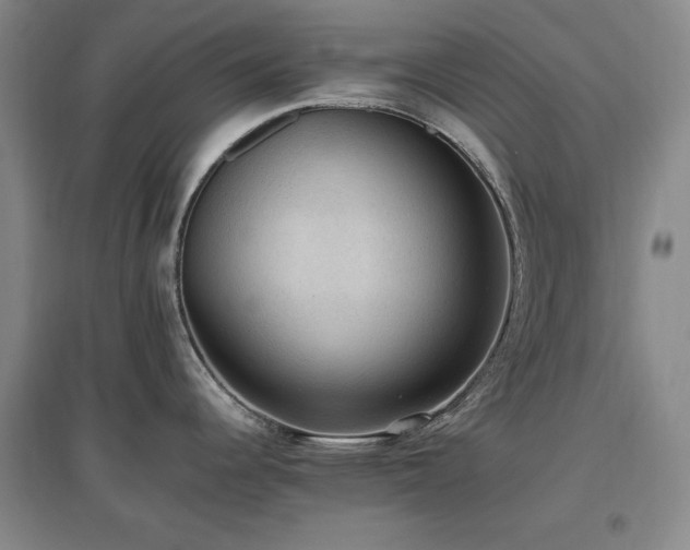 X0000097461344200802221203