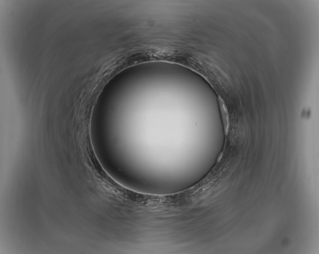 X0000097461345200802221203