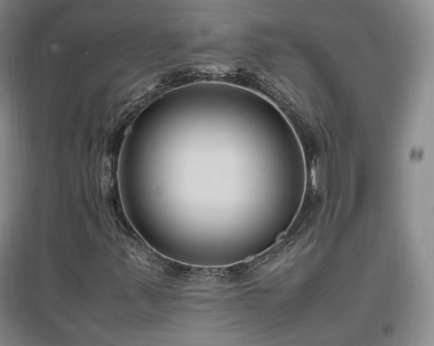 X0000097461347200802221202