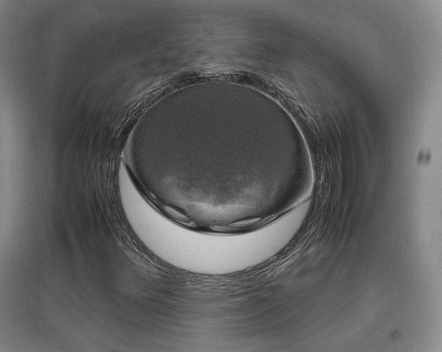 X0000097461348200802221202