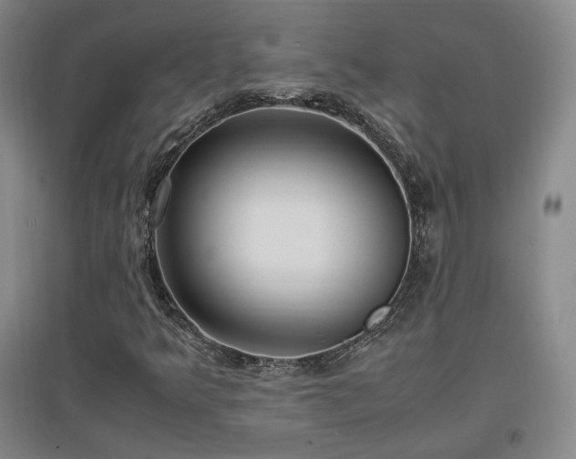 X0000097461349200802221202