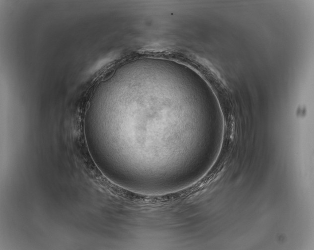 X0000097461350200802221202