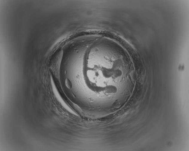 X0000097461351200802221202
