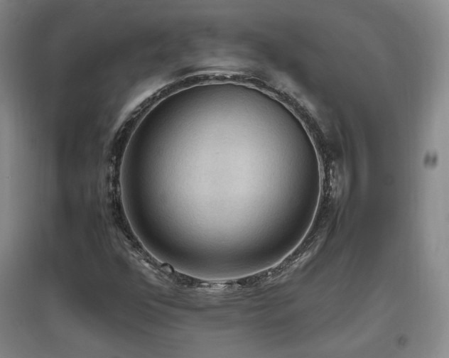 X0000097461352200802221202