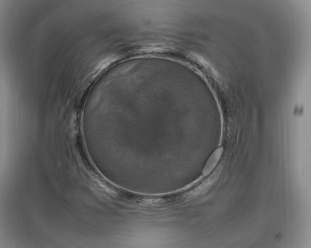 X0000097461353200802221202