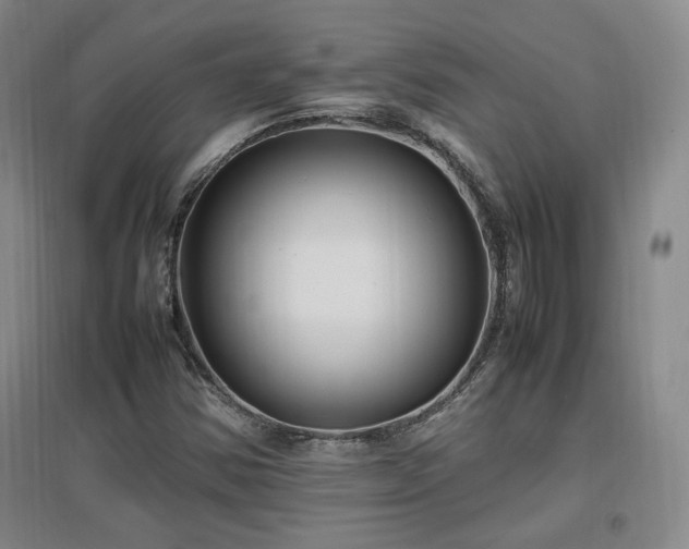 X0000097461354200802221202