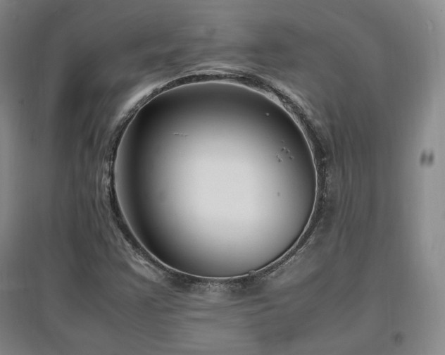 X0000097461355200802221202