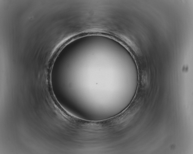 X0000097461356200802221202