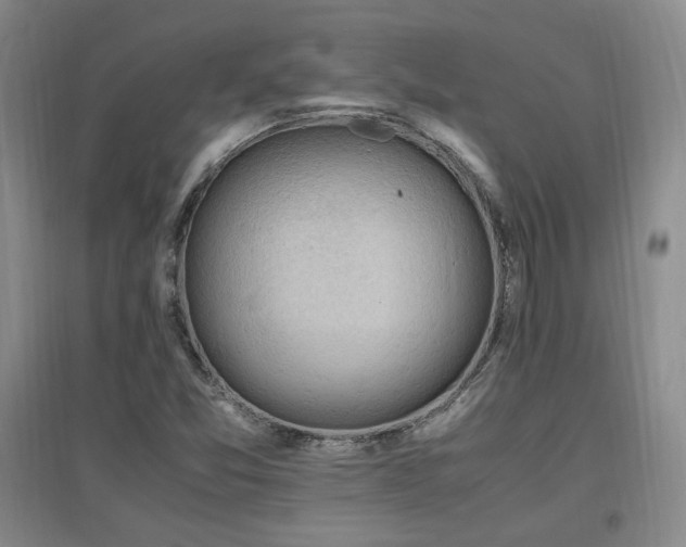 X0000097461357200802221202