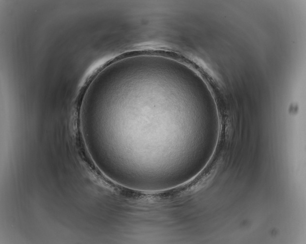 X0000097461358200802221202