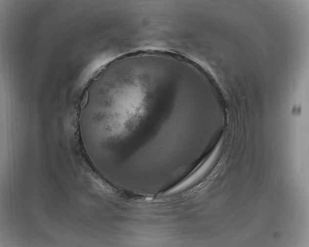 X0000097461359200802221202