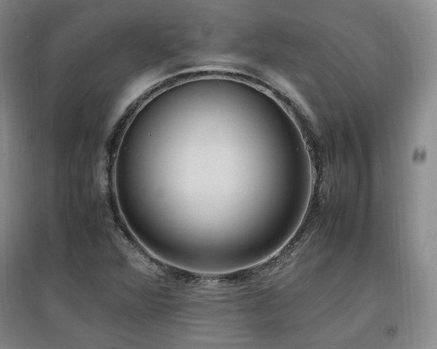 X0000097461360200802221202