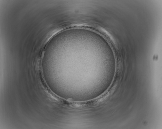 X0000097461361200802221202