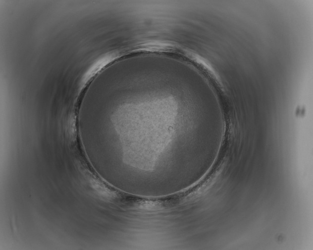 X0000097461362200802221202