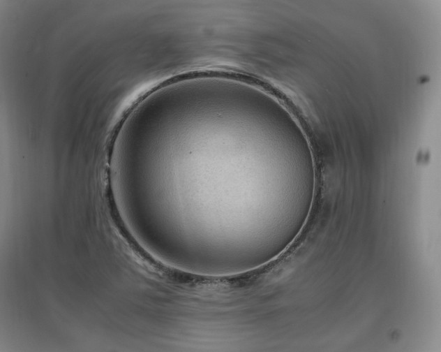 X0000097461363200802221202