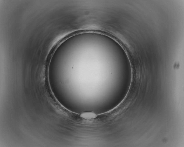 X0000097461364200802221202