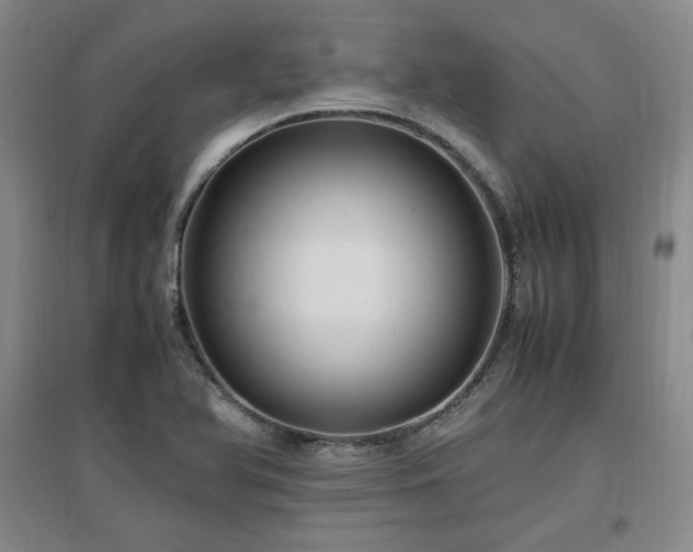 X0000097461366200802221202
