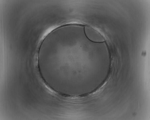 X0000097461367200802221202