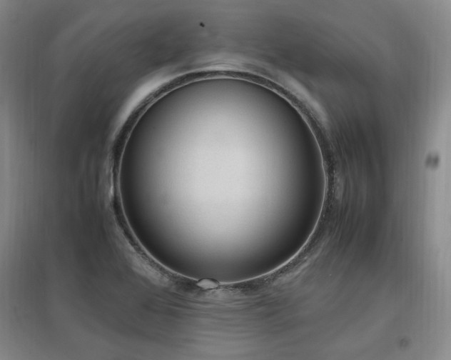 X0000097461368200802221202