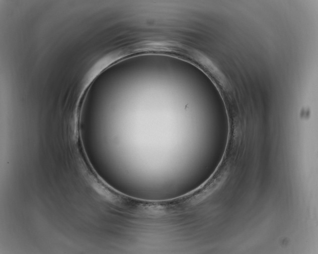 X0000097461370200802221202