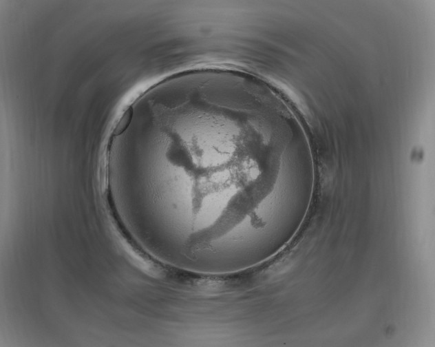 X0000097461371200802221202