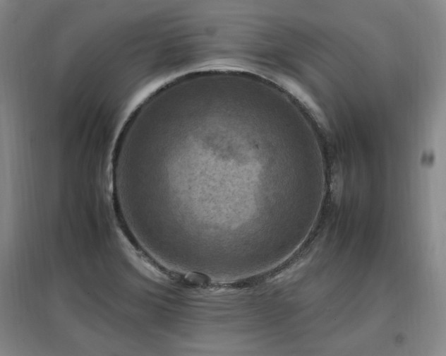 X0000097461372200802221202