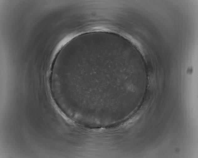 X0000097461373200802221202