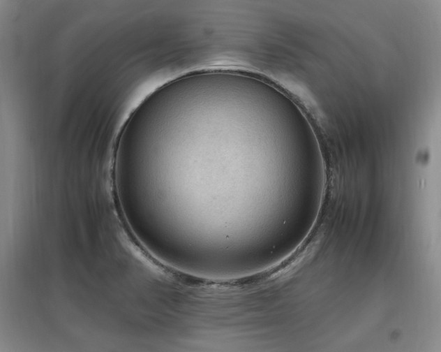 X0000097461374200802221202
