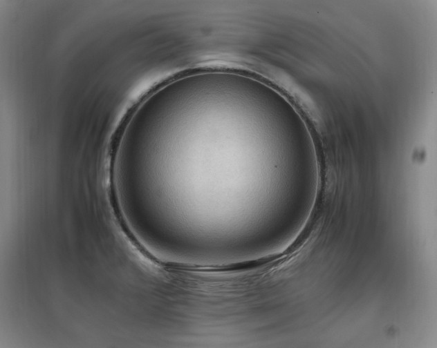 X0000097461376200802221202