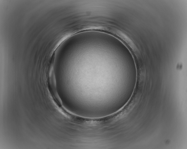 X0000097461377200802221202