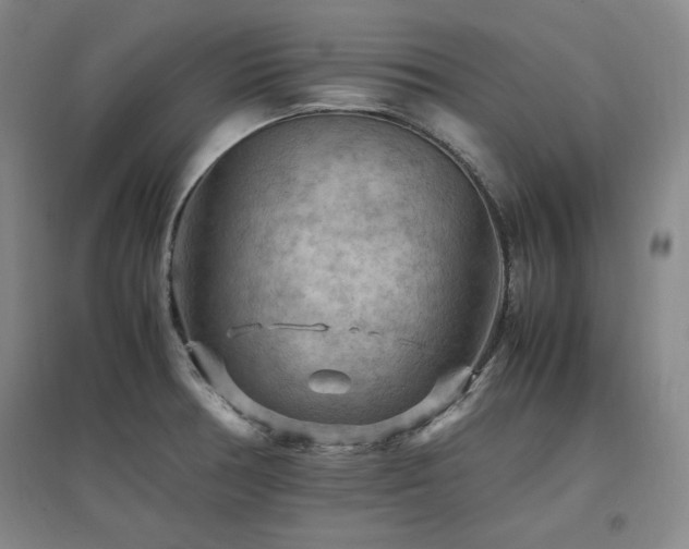 X0000097461378200802221202