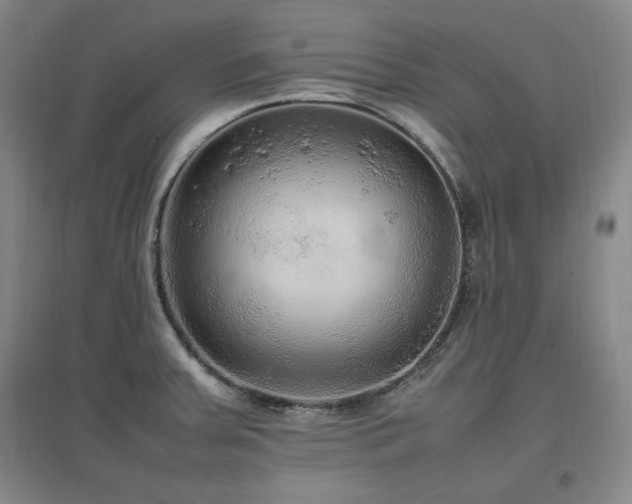 X0000097461379200802221202
