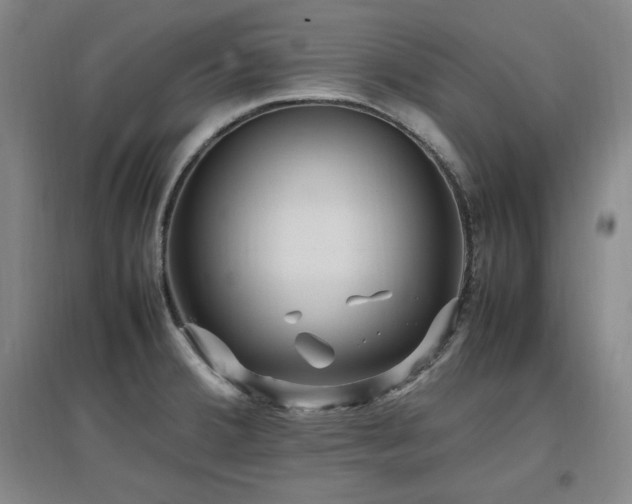 X0000097461380200802221202