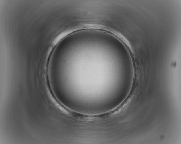 X0000097461381200802221202
