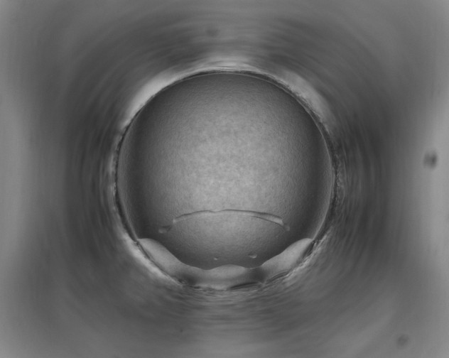 X0000097461382200802221202