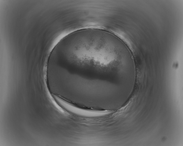X0000097461383200802221202