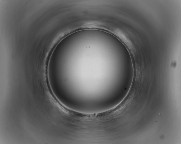 X0000097461384200802221202