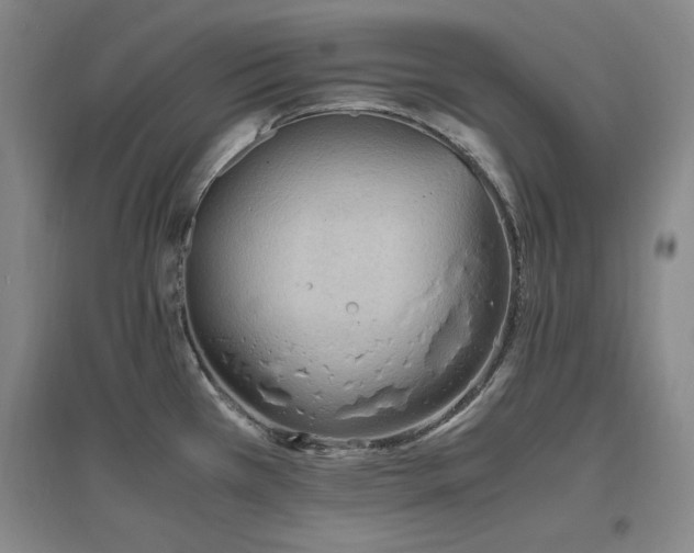 X0000097461385200802221202