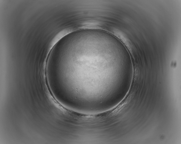 X0000097461386200802221202