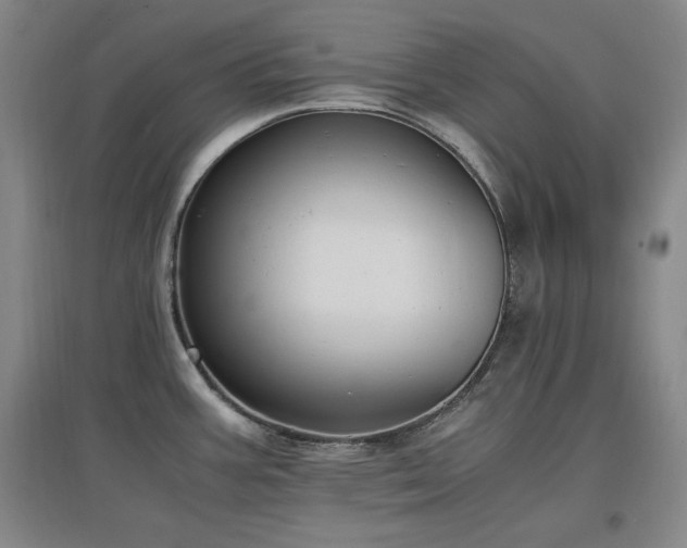 X0000097461387200802221202