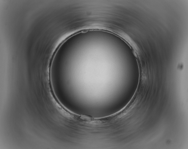 X0000097461388200802221202