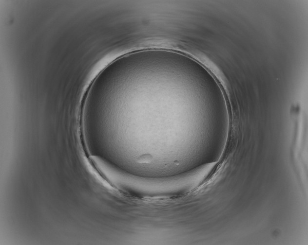 X0000097461389200802221202