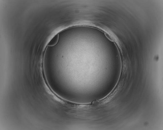 X0000097461390200802221202