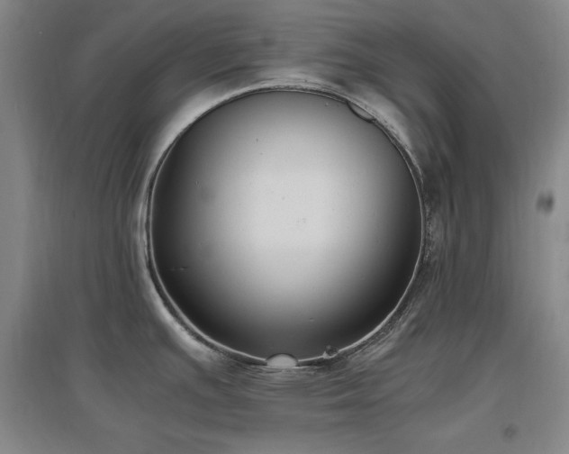 X0000097461391200802221202
