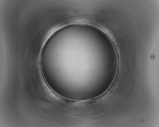 X0000097461392200802221202