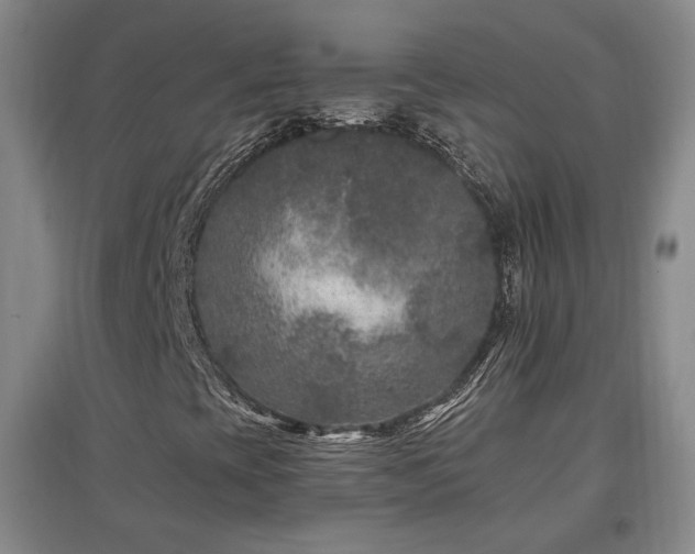 X0000097461393200802221201